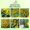 Outsidepride Dwarf Sunspot Sunflower Seeds for Planting - 1 Lb. Annual, Easy to Grow Flower Seeds w/Vibrant, Abundant Blooms for Cut Flower Arrangements & Pollinator & Vegetable Gardens