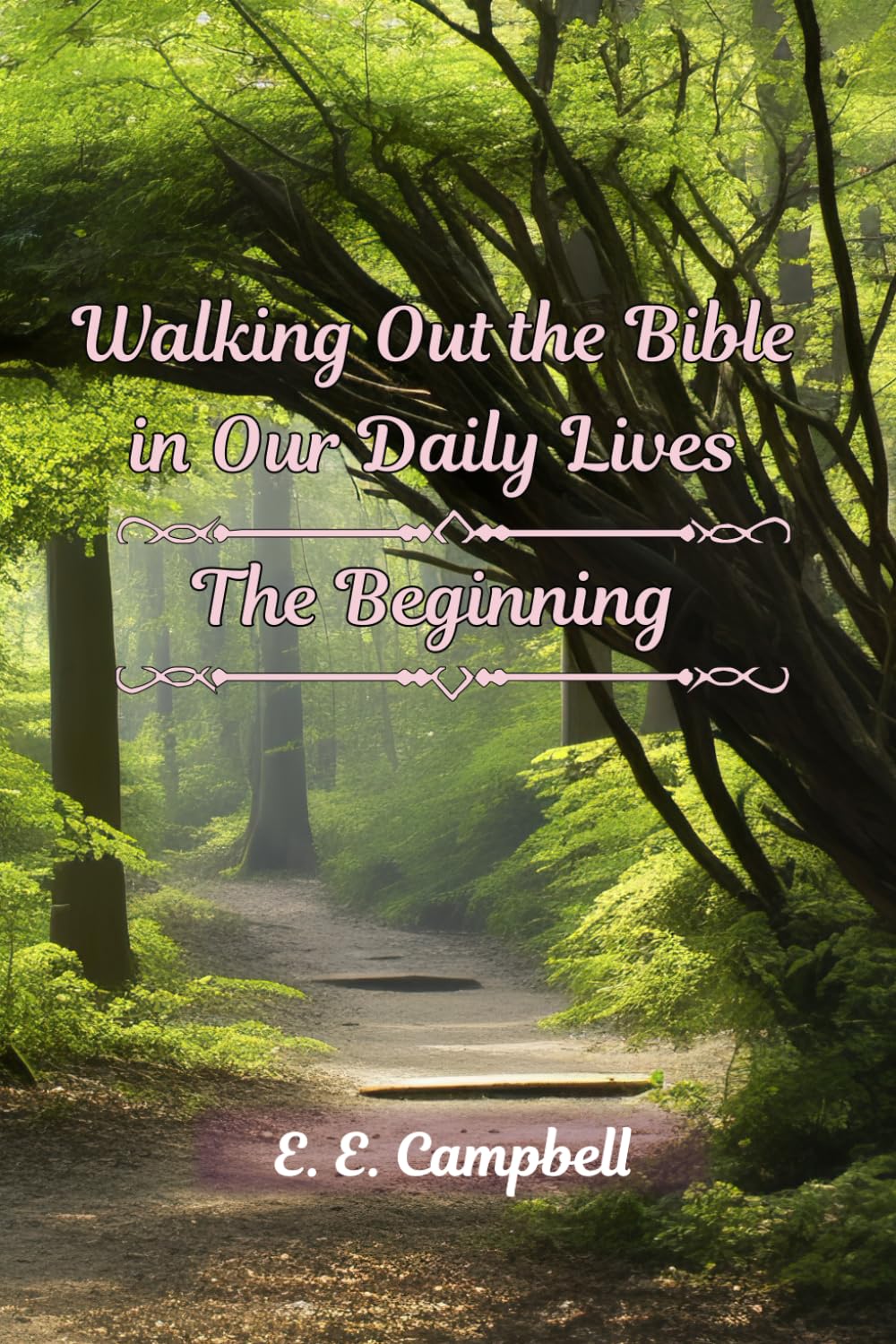 Walking Out the Bible in Our Daily Lives: The Beginning