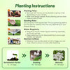 Outsidepride Achillea Millefolium Wild White Yarrow Seeds - 5 Lbs. Perennial Flower Seeds, Drought Resistant, Low Maintenance & Easy Planting for Beautiful Garden & Fireflies Attraction