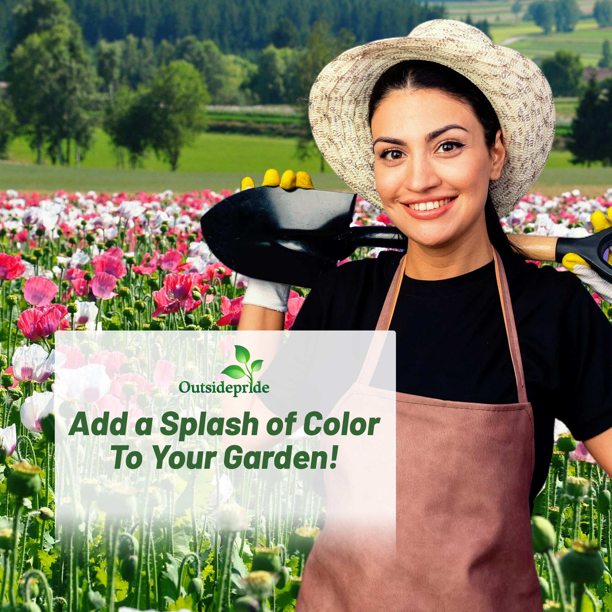 Outsidepride Shirley Poppy Seeds for Planting - 1 lb Annual, Drought-Tolerant & Easy to Grow Wildflower Seeds with Vibrant Mix Blooms for Landscaping, & Pollinator Garden