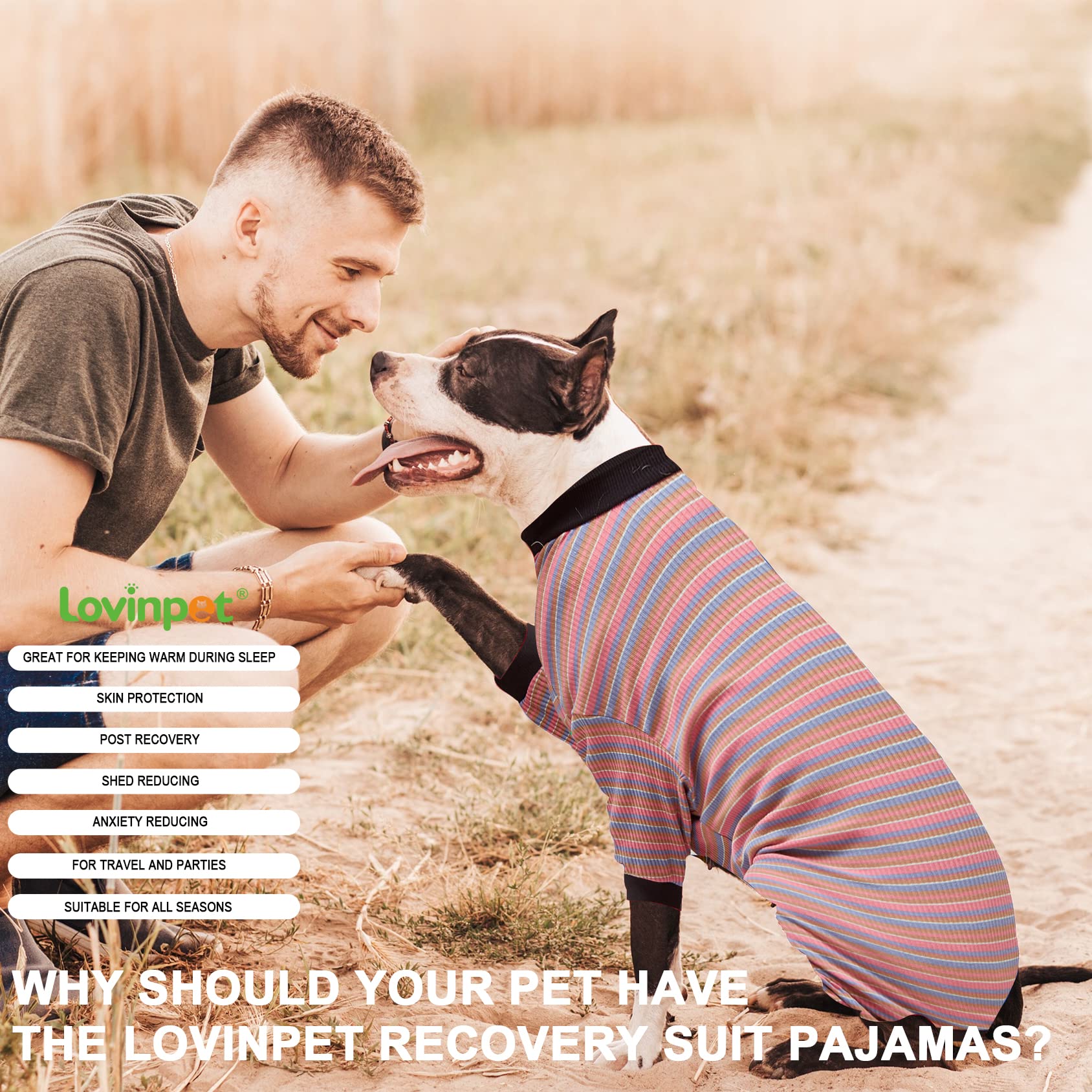 LovinPet Large Dog Pajamas, Cotton Multicolor Stripe Big Dog Shirt, Stop Shedding for Dogs, Full Body Dog Onesie, Pet Pajamas for Dogs, Pet PJ's, 3XL