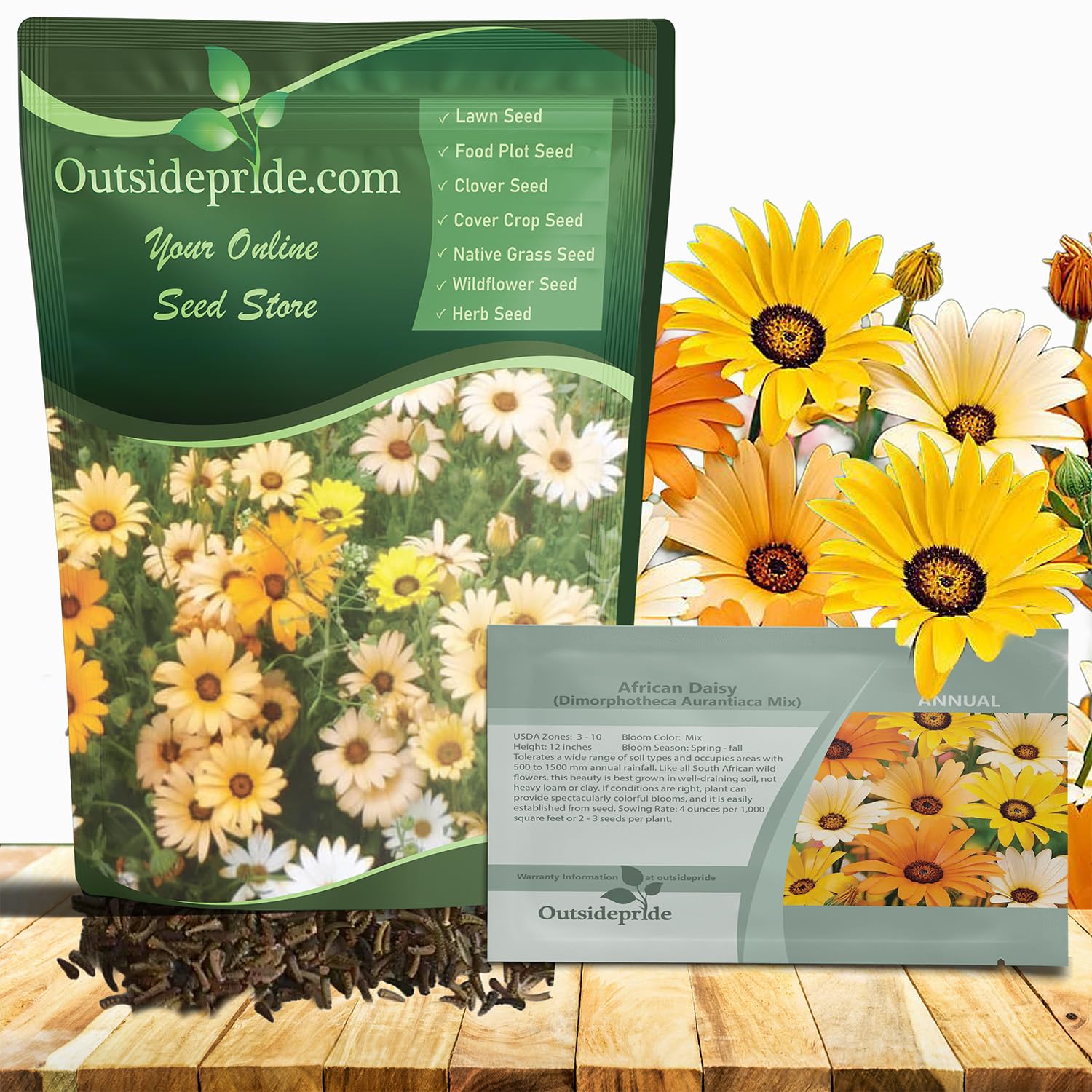 Outsidepride Mix African Daisy Seeds - 1/4 lb. Annual Flower Seeds for Planting Outdoors with Long-Lasting Blooms, Drought-Tolerant, Easy to Grow for Sunny Gardens & Borders