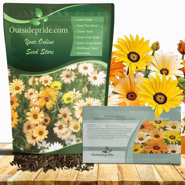 Outsidepride Mix African Daisy Seeds - 1/4 lb. Annual Flower Seeds for Planting Outdoors with Long-Lasting Blooms, Drought-Tolerant, Easy to Grow for Sunny Gardens & Borders