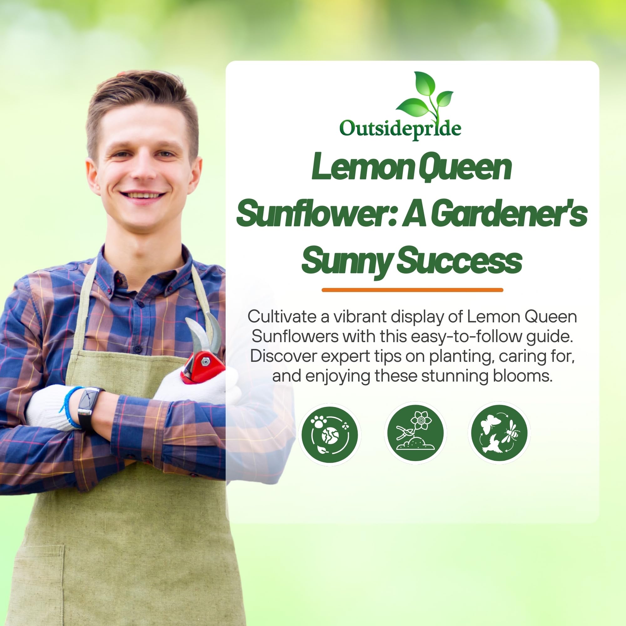 Outsidepride Lemon Queen Sunflower Seeds for Planting - 1/4 Lb. Annual, Easy to Grow Flower Seeds w/Vibrant, Abundant Blooms for Cut Flower Arrangements & Pollinator & Vegetable Gardens