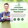 Outsidepride Lemon Queen Sunflower Seeds for Planting - 1/4 Lb. Annual, Easy to Grow Flower Seeds w/Vibrant, Abundant Blooms for Cut Flower Arrangements & Pollinator & Vegetable Gardens