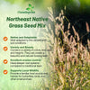 Outsidepride Perennial Northeast Native Grass Seed Mix - 1 lb. Cold & Drought-Tolerant Warm & Cool Season Prairie Grass Seeds for Xeriscaping, Erosion Control, Wildlife Support, & Pollinator Habitats