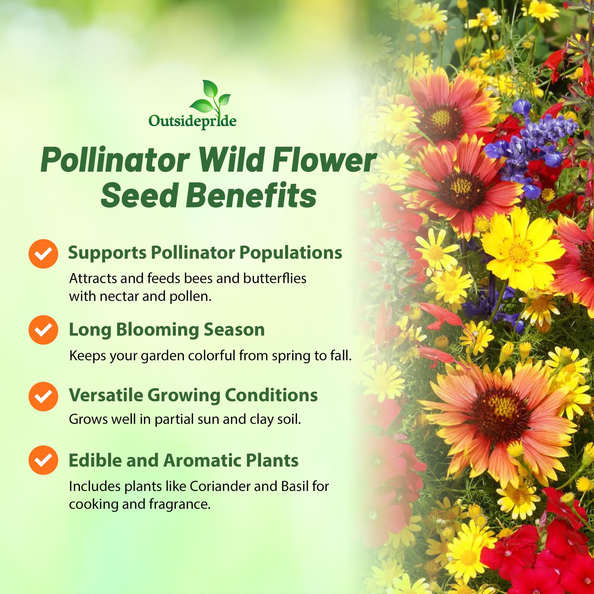 Outsidepride Pollinator Wildflower Seed Mix - 1/4 lb Flower Seeds for Attracting Pollinators, Ideal for All States, Enhances Garden Biodiversity, Supports Bees, Butterflies & Beneficial Insects
