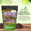 Outsidepride Dame's Rocket Flower Seeds - 1 Lb. Perennial, Easy to Grow, Deer Resistant & Self-Seeding Wildflower Seeds for Planting Vibrant and Fragrant Blooms in Pollinator & Butterfly Gardens