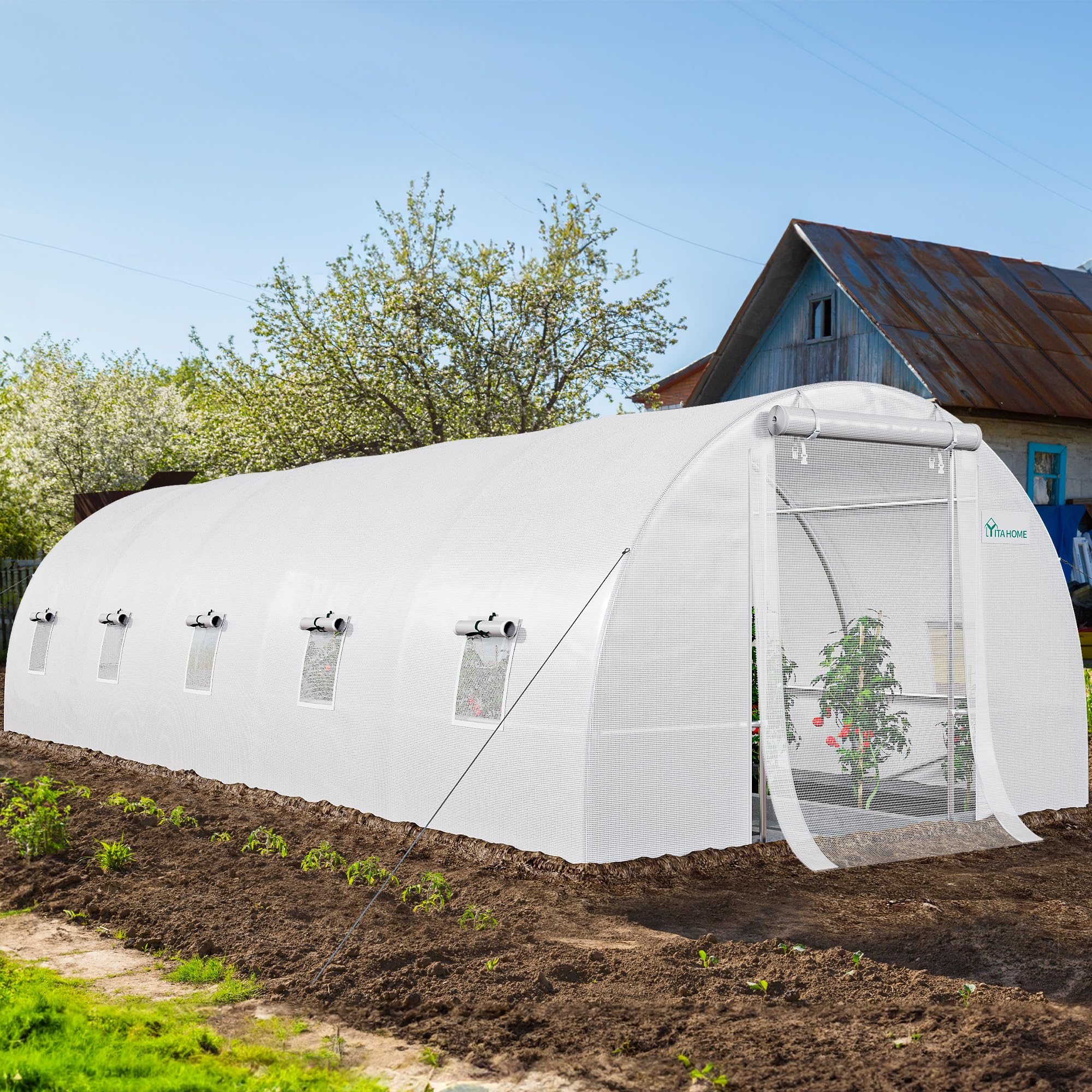YITAHOME 26'x10'x6.5' Greenhouses Heavy Duty Large Greenhouses Walk in Green Houses Tunnel Green House Outdoor Gardening Upgraded Galvanized Steel Ropes Zipper Doors, White