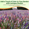 Outsidepride Mixed Rocket Larkspur Seeds for Planting Outdoors - 1 Lb. Annual, Self-Seeding, Heat & Drought Tolerant Wildflower Seeds for Cut Flower Arrangements & Pollinator Gardens