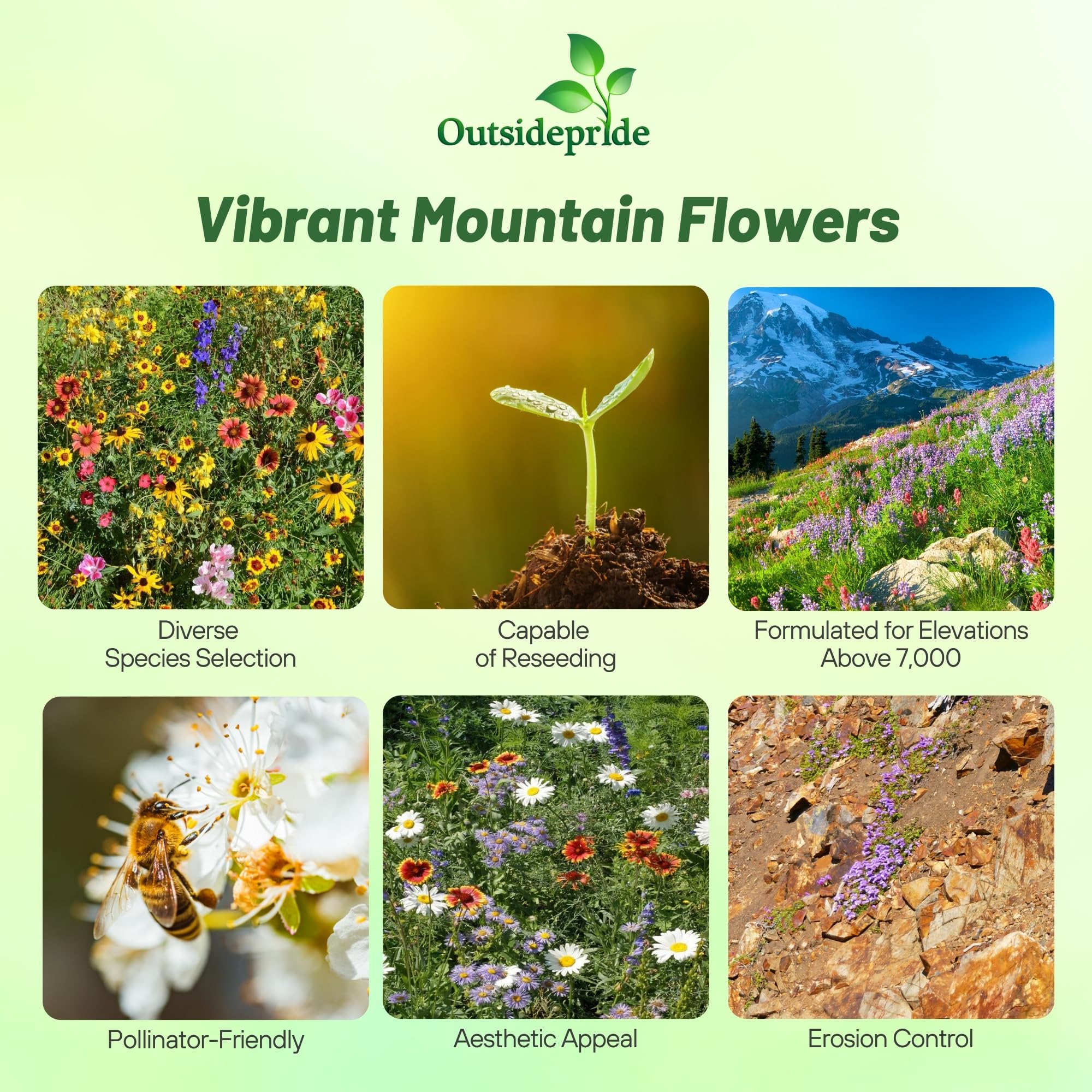 Outsidepride Mountain Wild Flower Seed Mix - 5 lbs Premium Blend of Annual & Perennial Wildflower Seeds for High-Elevation in USDA Zones 3-8, Ideal for Mountain Gardens, Low-Maintenance & Easy to Grow