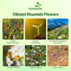 Outsidepride Mountain Wild Flower Seed Mix - 5 lbs Premium Blend of Annual & Perennial Wildflower Seeds for High-Elevation in USDA Zones 3-8, Ideal for Mountain Gardens, Low-Maintenance & Easy to Grow