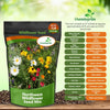 Outsidepride Northwest Wild Flower Seed Mix - 1 lb Premium Blend of Annual & Perennial Wildflower Seeds for Northwestern States - Ideal for Attracting Pollinators, Perfect for Garden Displays