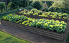 YITAHOME 12x4x1ft Large Raised Garden Bed Kit, Galvanized Metal Planter Box with Gloves, Ground Nails, Support Rod & Safety Rubber, Outdoor Above Ground Planters for Plants Vegetables Flowers, Black