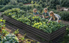 YITAHOME 12x4x1ft Large Raised Garden Bed Kit, Galvanized Metal Planter Box with Gloves, Ground Nails, Support Rod & Safety Rubber, Outdoor Above Ground Planters for Plants Vegetables Flowers, Black
